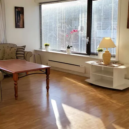 Stor Sentral Billig Med 1-8 Soveplasser Gratis Parkering Og Wifi 2 Soverom Appartamento *